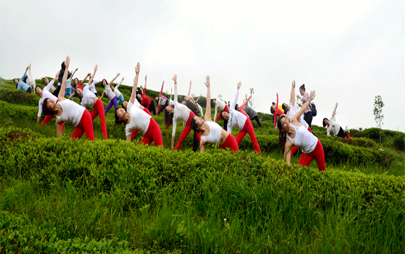 圖片5.gif 圖片5.gif