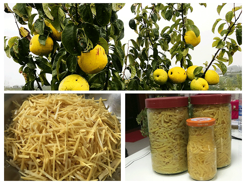 QQ圖片20191025152450_副本.gif QQ圖片20191025152450_副本.gif