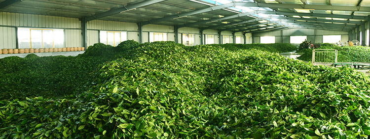 DSC_6617.jpg DSC_6617.jpg