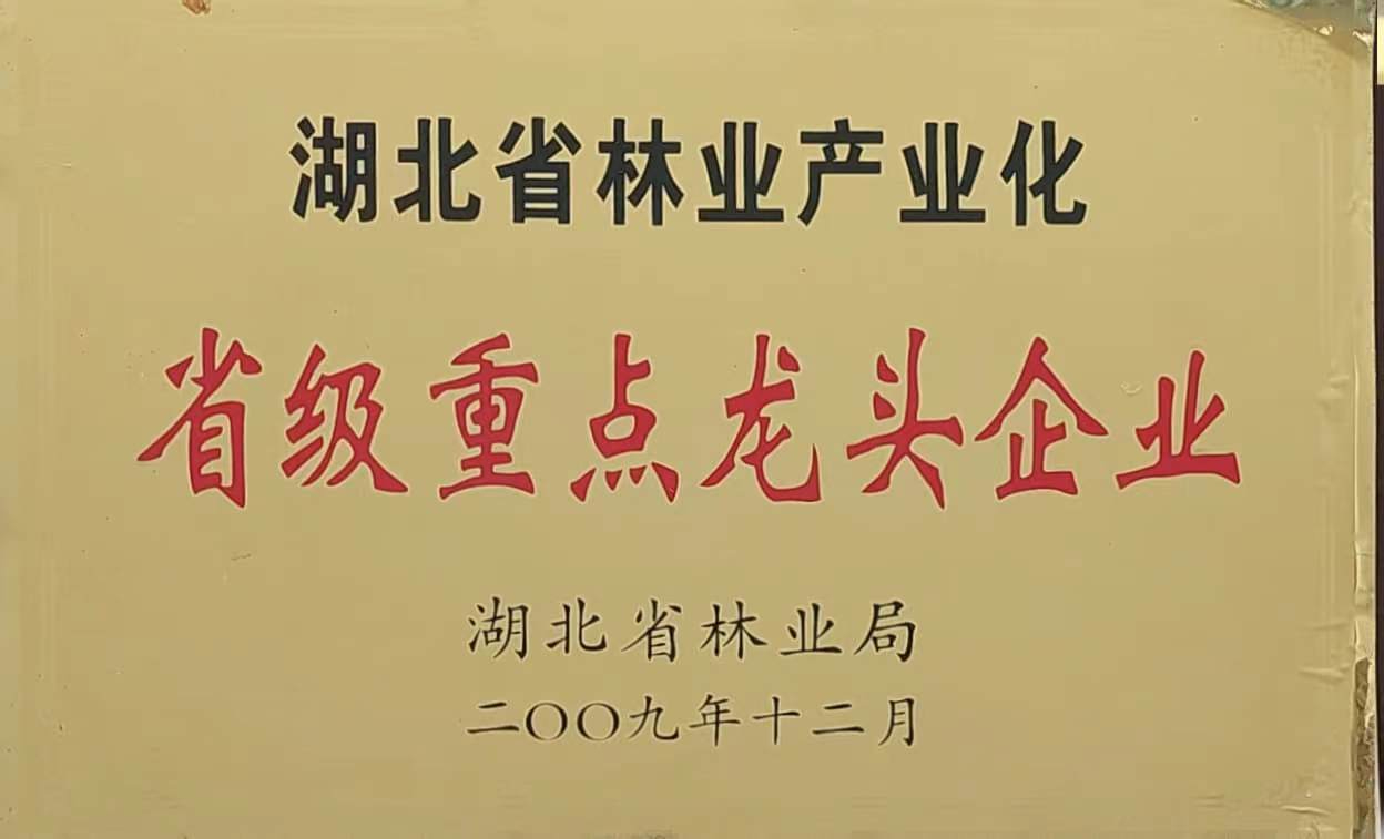 省林業(yè)產業(yè)化重點龍頭企業(yè)（2009）