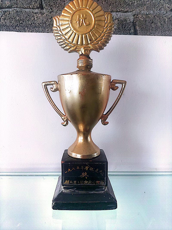 1985年省優(yōu)良產(chǎn)品.jpg 1985年省優(yōu)良產(chǎn)品.jpg